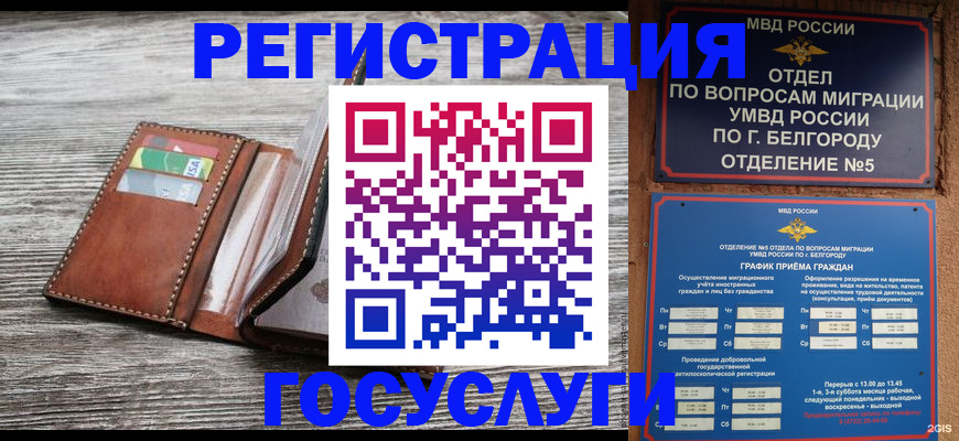 временная регистрация гарантия в Бабаево